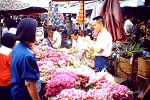 1988, Thailand