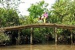 Bridge in Megong Delta, Vietnam 2008
