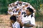 Sri Lanka, schoolkids near Dambulla (1999)