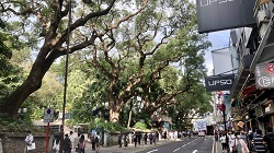 Hongkong 2025