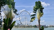 Singapore 2026