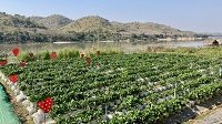Thailand, Isaan-Tour 2025