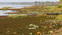 Thailand, Isaan-Tour 2025