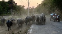 Thailand, Isaan-Tour 2025