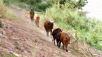 Thailand, Isaan-Tour 2025