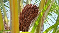 Thailand, Isaan-Tour 2025