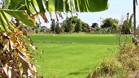 Thailand, Isaan-Tour 2025