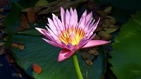 Thailand, Isaan-Tour 2025