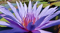 Thailand, Isaan-Tour 2025