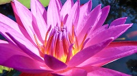 Thailand, Isaan-Tour 2025