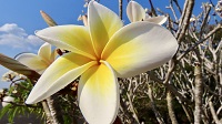 Thailand, Isaan-Tour 2025