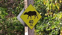 Thailand, Isaan-Tour 2025