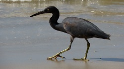 Wat Phra Kheo, Thailand (2023)